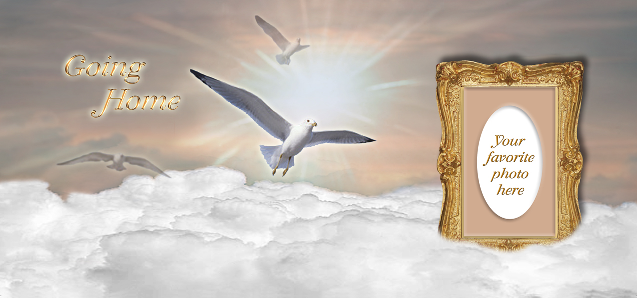 Going Home Clouds Birds Bronze